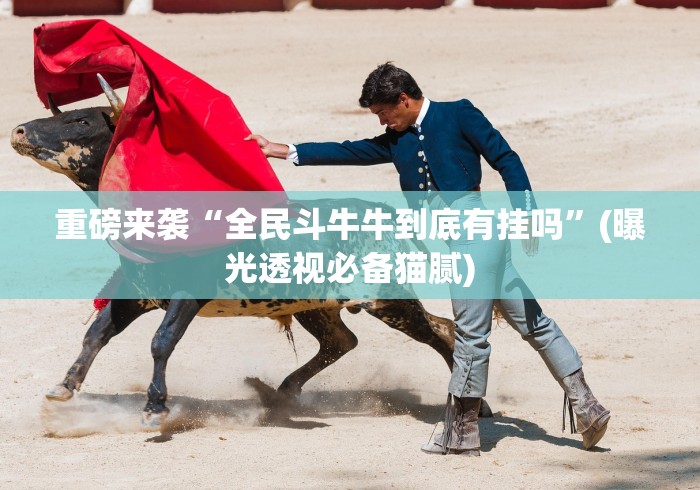 【玩家游戏玩法】“途游跑胡子如何提高胜率”(原来确实是有插件)