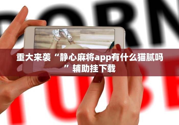 重大来袭“哈局十三张挂试用一天”-详细教程