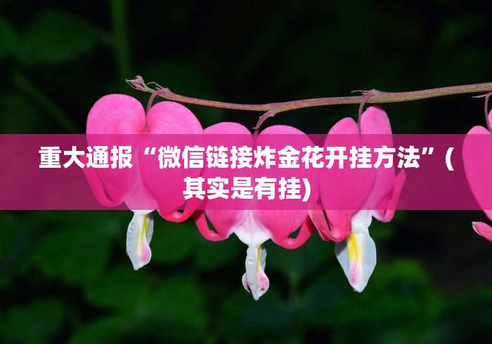 重大通报“微信链接炸金花开挂方法”(其实是有挂)