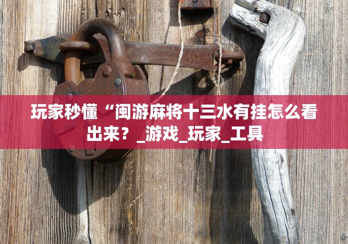 玩家秒懂“闽游麻将十三水有挂怎么看出来？_游戏_玩家_工具