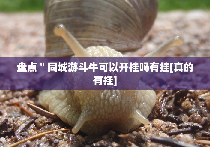 玩家辅助神器：“棋牌牛牛如何会赢”其实确实有挂