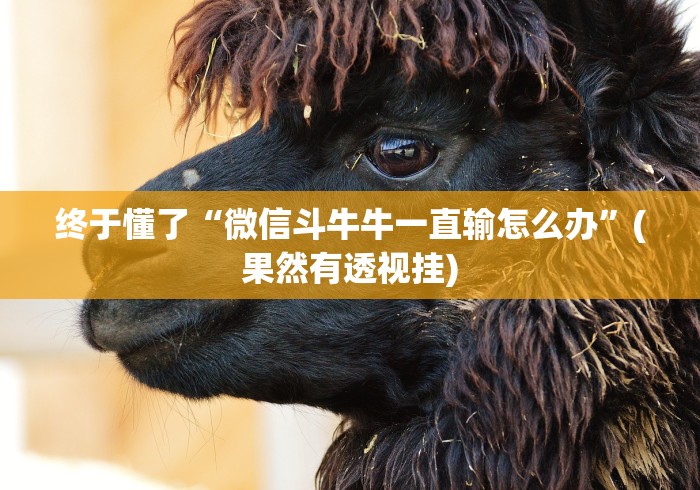 终于懂了“微信斗牛牛一直输怎么办”(果然有透视挂)