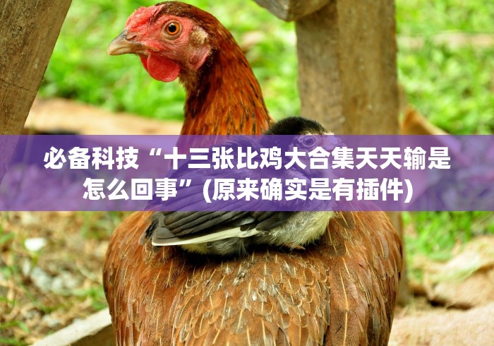 必备科技“十三张比鸡大合集天天输是怎么回事”(原来确实是有插件)