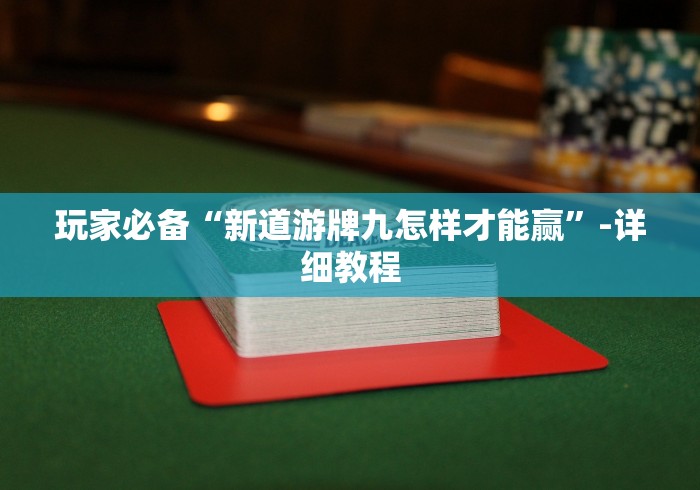 玩家必备“新道游牌九怎样才能赢”-详细教程