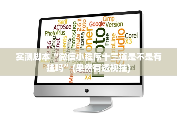 实测脚本“微信小程序十三道是不是有挂吗”(果然有透视挂)