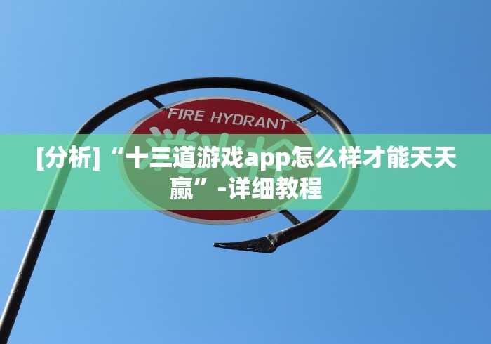 [分析]“十三道游戏app怎么样才能天天赢”-详细教程